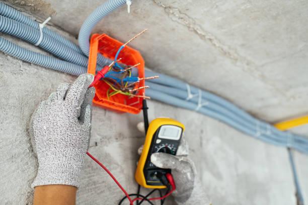 Best Residential Electrician Services  in Memphis, MI